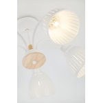 Люстра Rivoli Lulu 9029-305 5 х E27 60 Вт модерн