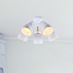 Люстра Rivoli Lulu 9029-305 5 х E27 60 Вт модерн