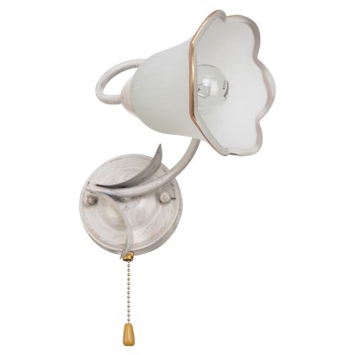 Светильник ЭкономСвет 90528N/1wWTGDP CL