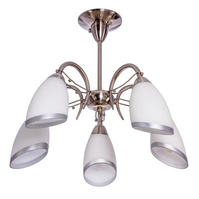 Потолочный светильник Экономсвет 90542G/5SN MK