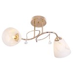 Потолочный светильник Экономсвет 91005/2FGD WT