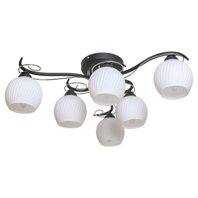 Потолочный светильник Экономсвет 91015/6CR+BK WT