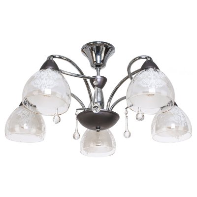 Потолочный светильник Экономсвет 91017/5CR+BR