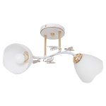 Люстра классическая Экономсвет 91030/2WG+FGD WT