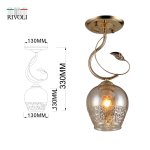 Светильник потолочный Rivoli Kimberly 9111-201 1 * Е27 60 Вт модерн для натяжных потолков