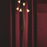 Торшер Lussole LSX-7005-05 FERENTINO