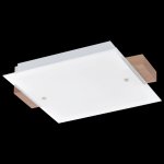 Настенно-потолочный светильник Eglo 93064 VILAR