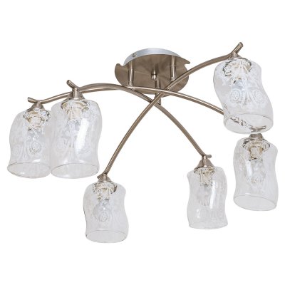 Потолочный светильник Экономсвет 93072N/6SL CL