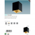 Настенно-потолочный светильник Eglo 94497 POLASSO