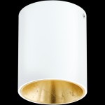 Настенно-потолочный светильник Eglo 94503 POLASSO