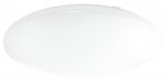 Настенно-потолочный светильник Eglo 94596 LED GIRON