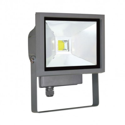 

Прожектор диодный FL-10 серебристый 220В LED Модуль 10Вт 120° IP65 белый свет 4000K