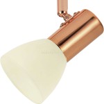 Светильник поворотный спот Eglo 94738 GLOSSY 2