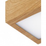 Накладной светильник Eglo 95197 COLEGIO