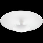 Настенно-потолочный светильник LED Eglo 95487 TORONJA