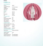 Светильник для детской комнаты Eglo 95954 FABELLA