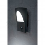 Уличный светильник Eglo 96009 PROPENDA