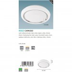 Настенно-потолочный светильник Eglo 96023 CAPASSO