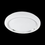 Настенно-потолочный светильник Eglo 96024 CAPASSO