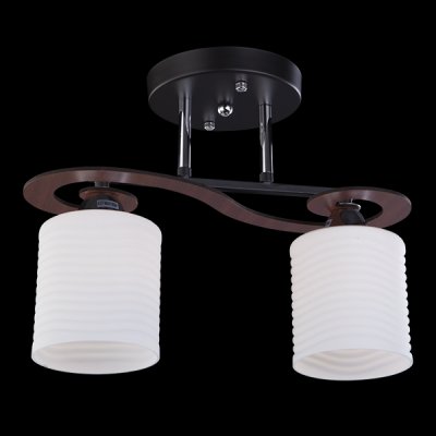 Светильник Eurosvet 9655/2 хром/венге