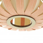 Светильник потолочный Eglo 96654 ARENELLA