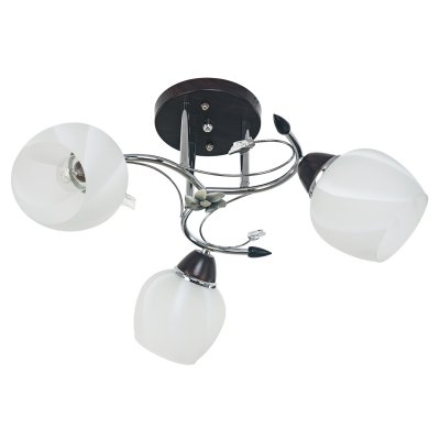 Потолочный светильник Экономсвет 9673TM/3