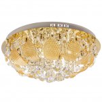 Светильник ЭкономСвет 9695/15FGD RC LED