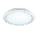 Светильник настенно-потолочный Eglo 97039 GUSAMA