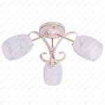 Потолочный светильник Экономсвет 99042/3DR WT