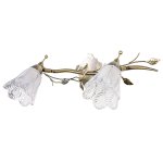 Спотовый светильник Экономсвет 99181A/2wAB