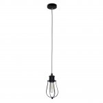 Подвесной светильник Spot Light Lorenzo 9981104