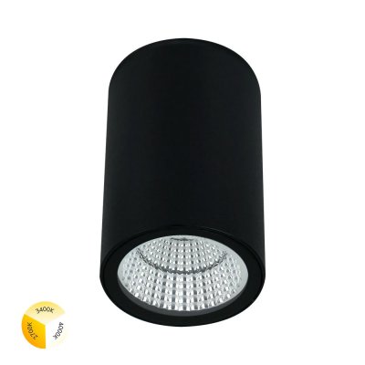 Уличный потолочный светильник Arte Lamp TORCULAR A1307PF-1BK Уличный потолочный светильник Arte Lamp TORCULAR A1307PF-1BK