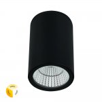 Уличный потолочный светильник Arte Lamp TORCULAR A1307PF-1BK