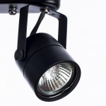 Светильник потолочный Arte lamp A1310PL-2BK LENTE