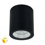 Уличный потолочный светильник Arte Lamp TORCULAR A1313PF-1BK