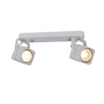 Светильник потолочный Arte lamp A1314PL-2WH LENTE
