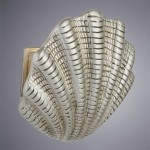 Светильник бра Arte Lamp A1412AP-1SA SHELL