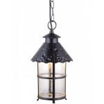 Уличный подвесной светильник Arte lamp A1465SO-1RI Prague