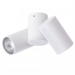 Светильник потолочный Arte lamp A1511PL-2WH GAVROCHE