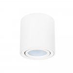 Точечный накладной светильник Arte lamp A1513PL-1WH BEID