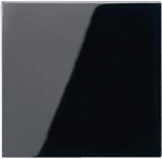 JUNG А 500 Черный Накладка светорегулятора/выключателя нажимного (A1561.07SW)