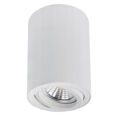 Точечный накладной светильник Arte Lamp A1566PL-1WH SENTRY
