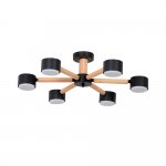 Потолочная люстра Arte Lamp TENDA A1624PL-6BK