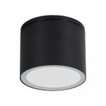Уличные потолочные светильники Arte Lamp A1913PF-1BK PIAUTOS