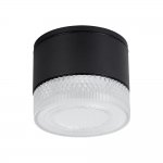 Уличные потолочные светильники Arte Lamp A1926PF-1BK PIAUTOS