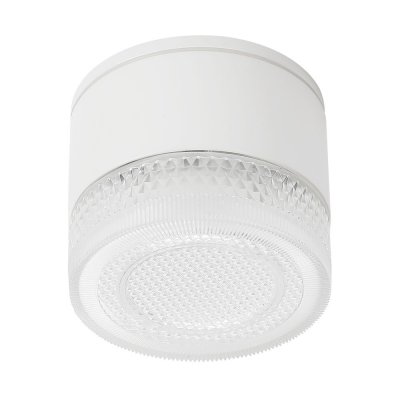 Уличные потолочные светильники Arte Lamp A1926PF-1WH PIAUTOS