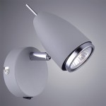 Светильник настенный Arte lamp A1966AP-1GY Regista