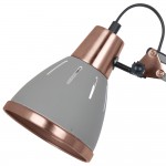 Светильник настольный Arte lamp A2246LT-1GY PIXAR