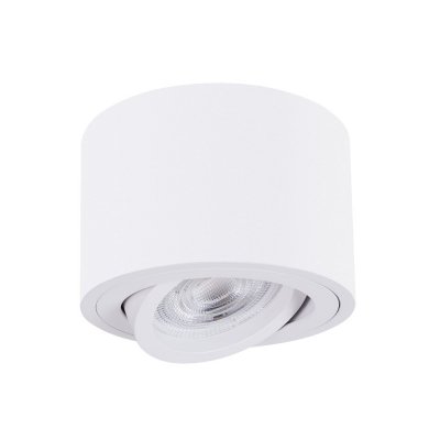 Точечный накладной светильник Arte Lamp A2260PL-1WH UNITO
