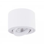 Точечный накладной светильник Arte Lamp A2260PL-1WH UNITO